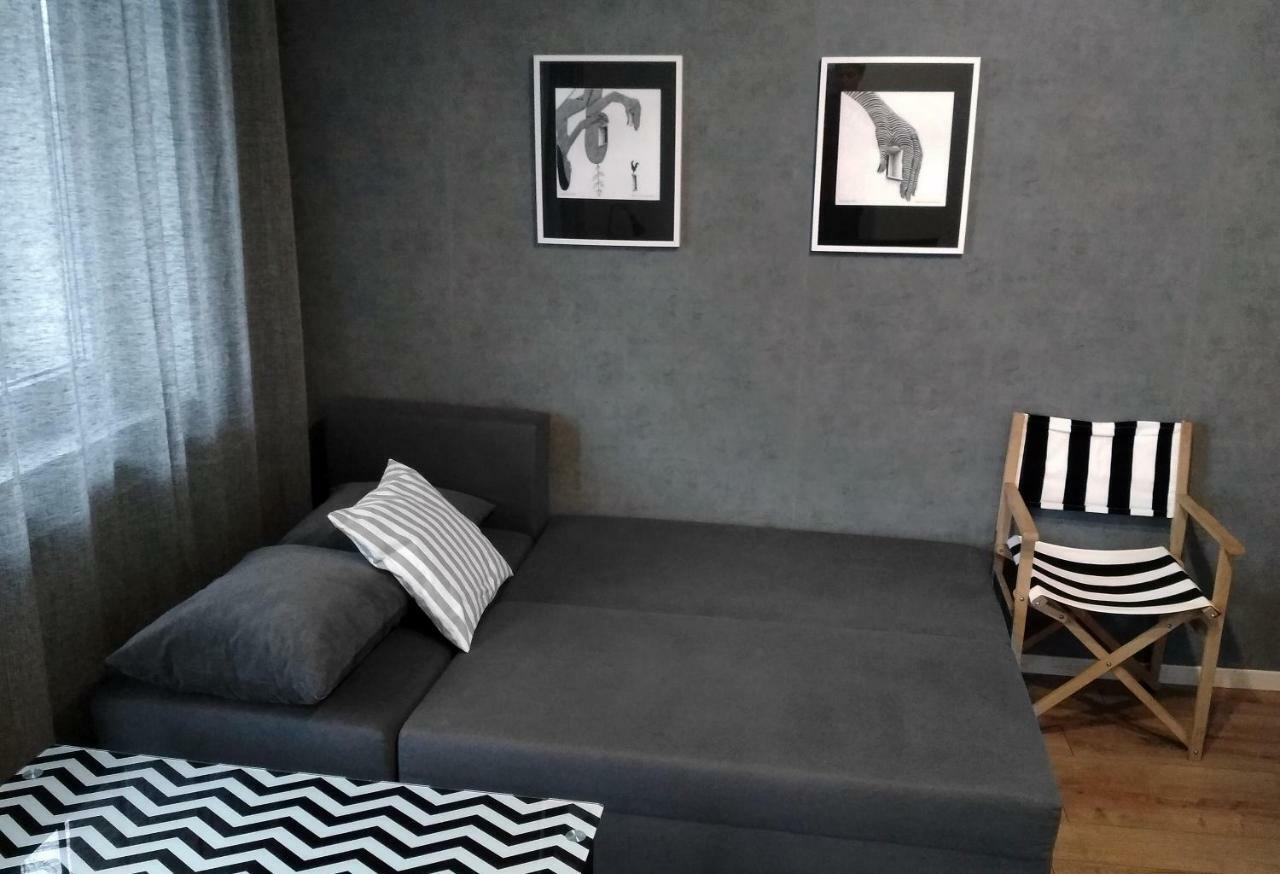别尔斯克-比亚拉Art Apartament公寓 外观 照片